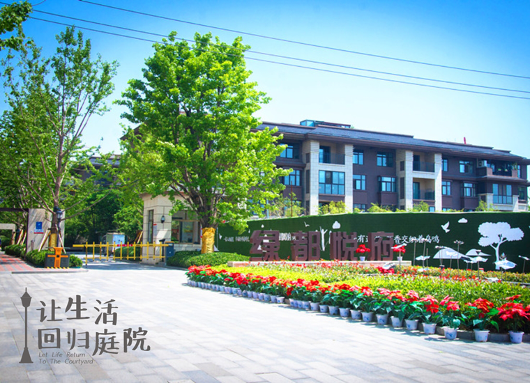 前后观望南阳50年：这样的庭院，很难再有了！