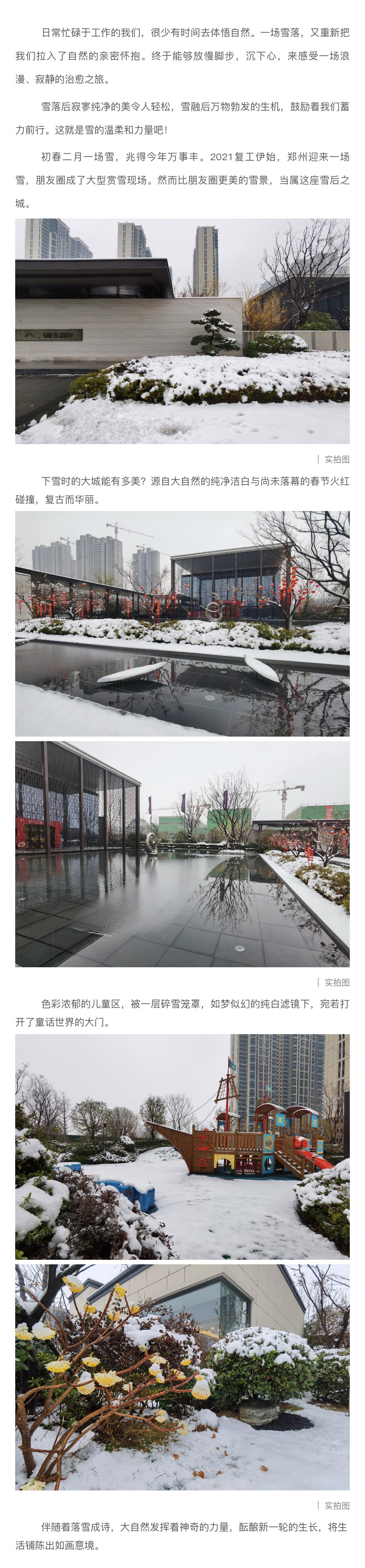 2021浪漫开年，共赏一场鹅毛大雪！