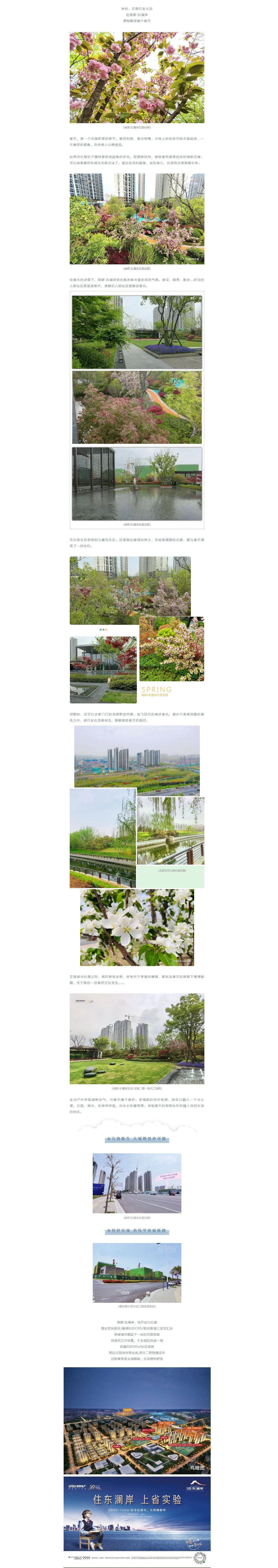 赏花踏青，来一场和春天的约会